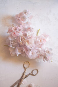 Wafer Paper hydrangea- Petite Pivoine Cakes