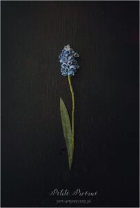 Wafer Paper muscari- Petite Pivoine Cakes