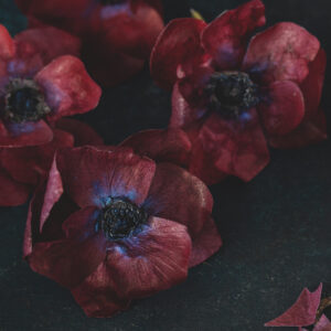 Wafer paper anemones in red- Petite Pivoine Cakes