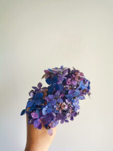 Wafer paper hydrangea cloud - Petite Pivoine Cakes