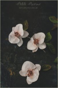 Wafer paper orchids- Petite Pivoine Cakes
